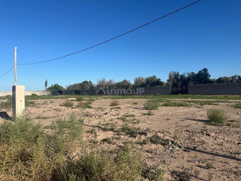 Lote en Venta en Lujan de Cuyo, Mendoza