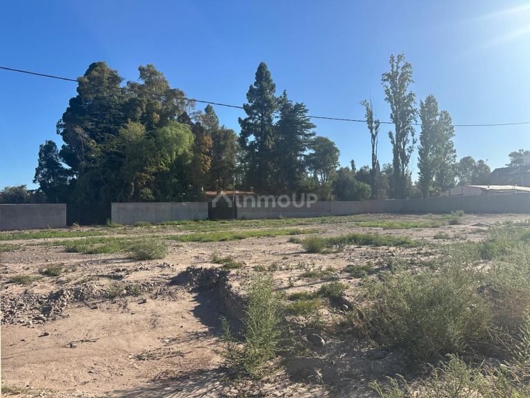 Lote en Venta en Lujan de Cuyo, Mendoza