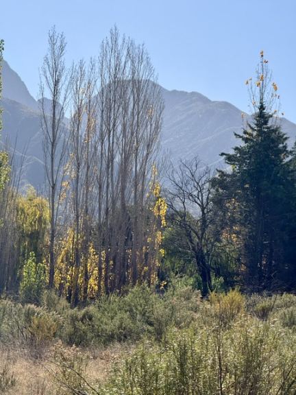 Ruta Provincial 82 S/N