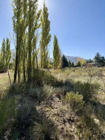 Lote en Venta en Lujan de Cuyo, Mendoza