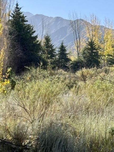 Lote en Venta en Lujan de Cuyo, Mendoza