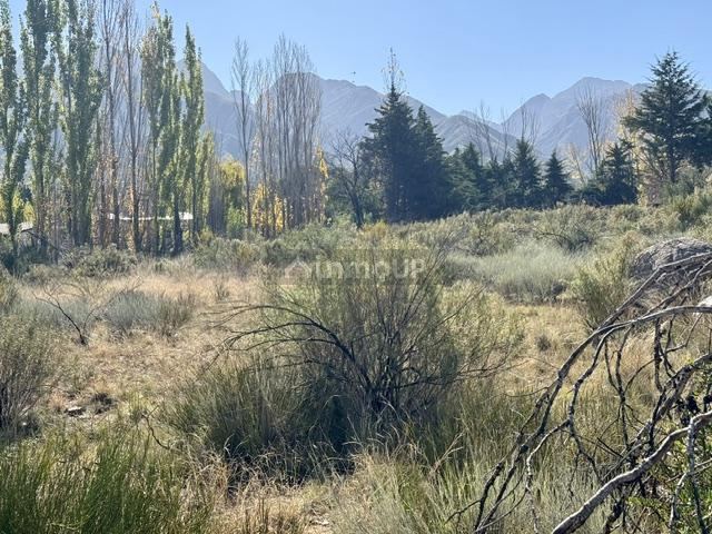 Lote en Venta en Lujan de Cuyo, Mendoza