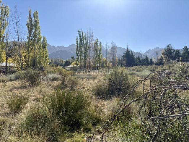 Lote en Venta en Lujan de Cuyo, Mendoza