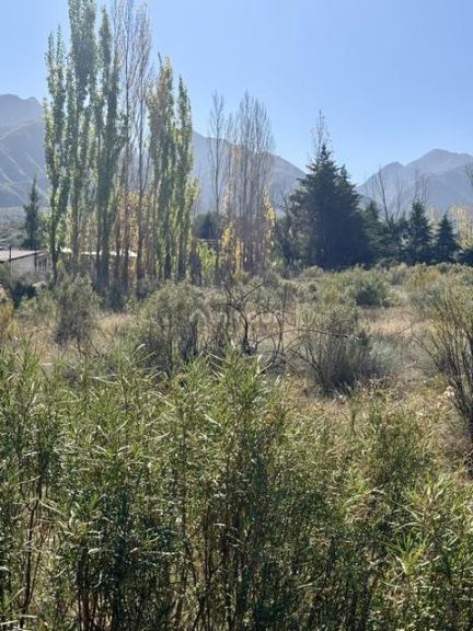 Lote en Venta en Lujan de Cuyo, Mendoza