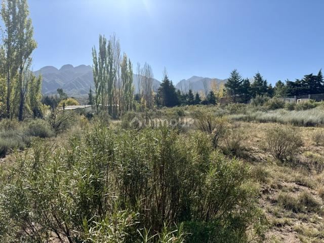Lote en Venta en Lujan de Cuyo, Mendoza