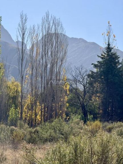 Lote en Venta en Lujan de Cuyo, Mendoza