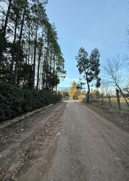 Lote en Venta en Lujan de Cuyo, Mendoza