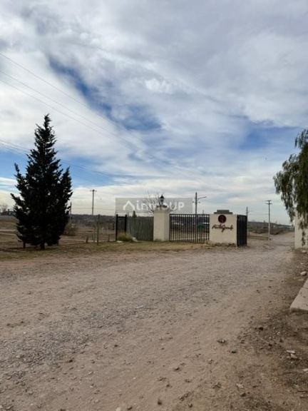 Lote en Venta en Lujan de Cuyo, Mendoza
