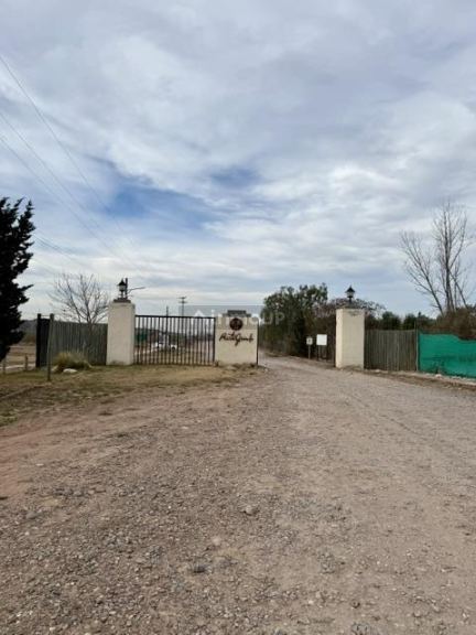 Lote en Venta en Lujan de Cuyo, Mendoza