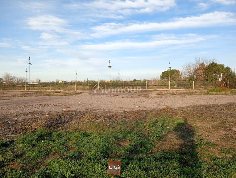 Lote en Venta en Lujan de Cuyo, Mendoza