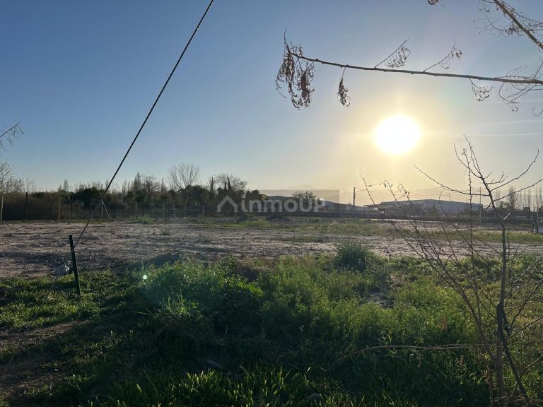 Lote en Venta en Lujan de Cuyo, Mendoza