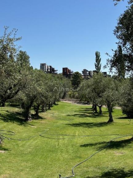 Casa en Alquiler en Lujan de Cuyo, Mendoza