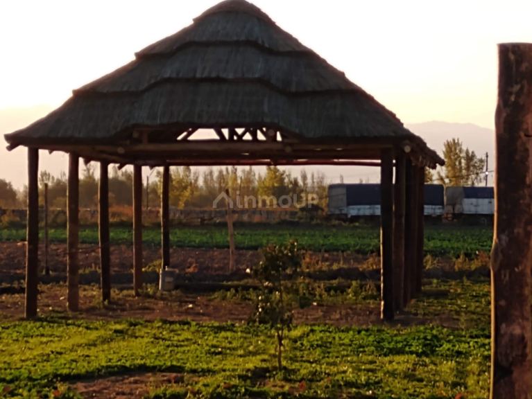 Terreno en Venta en Las Heras, Mendoza