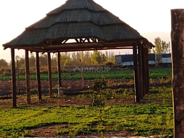 Terreno en Venta en Las Heras, Mendoza