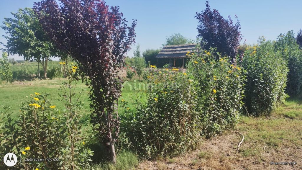 Terreno en Venta en Las Heras, Mendoza