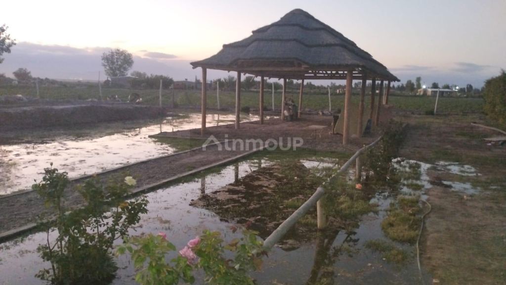 Terreno en Venta en Las Heras, Mendoza