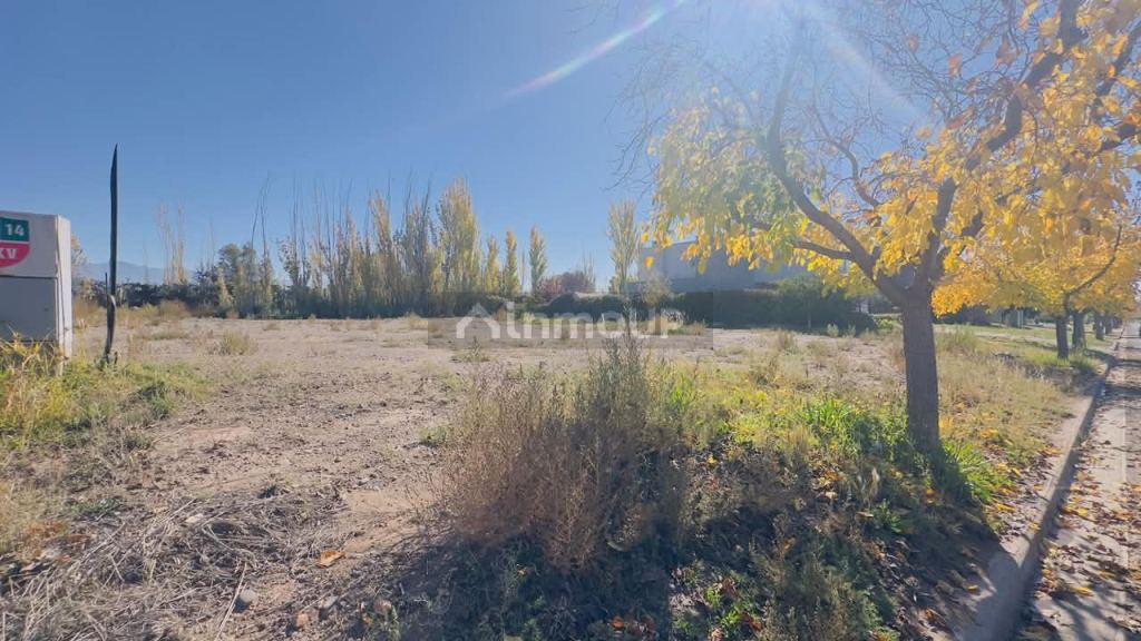 Terreno en Venta en Lujan de Cuyo, Mendoza