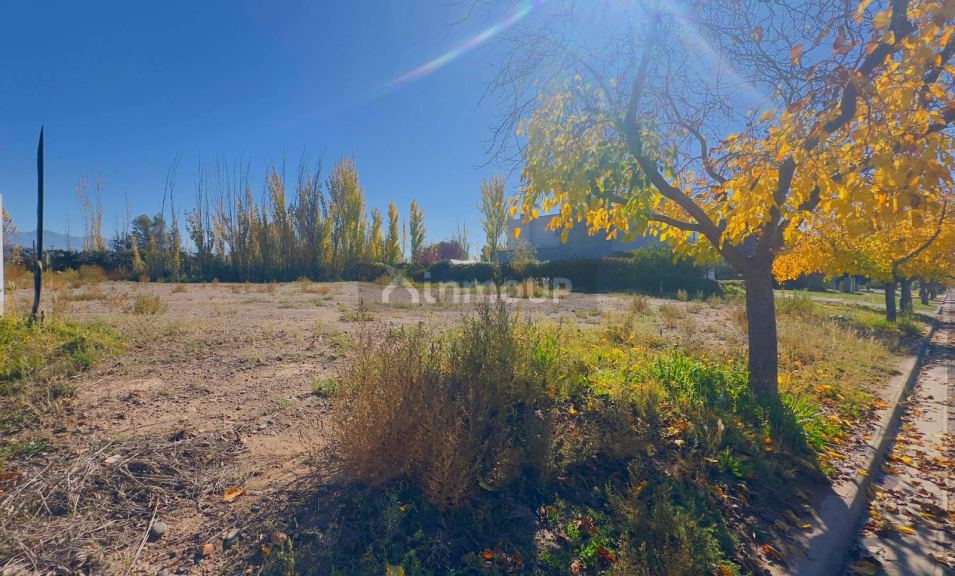 Terreno en Venta en Lujan de Cuyo, Mendoza