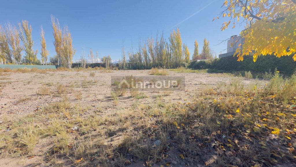 Terreno en Venta en Lujan de Cuyo, Mendoza