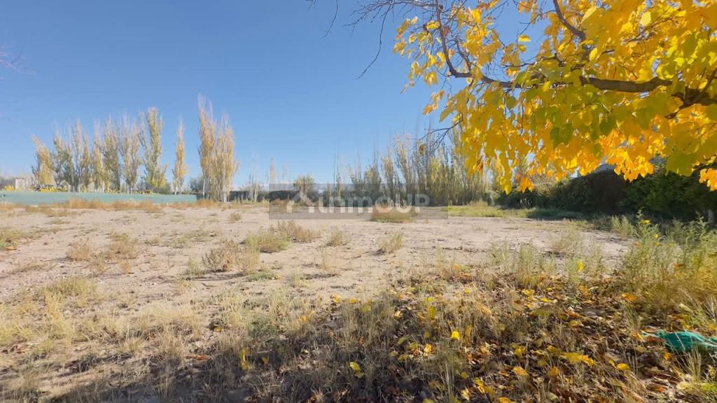 Terreno en Venta en Lujan de Cuyo, Mendoza