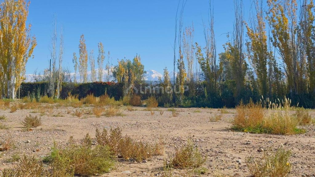 Terreno en Venta en Lujan de Cuyo, Mendoza