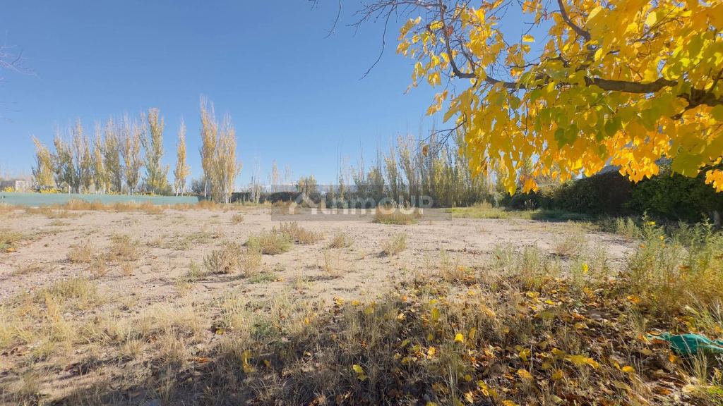 Terreno en Venta en Lujan de Cuyo, Mendoza