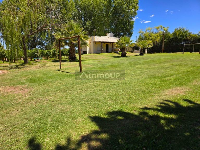 Finca en Venta en San Rafael, Mendoza