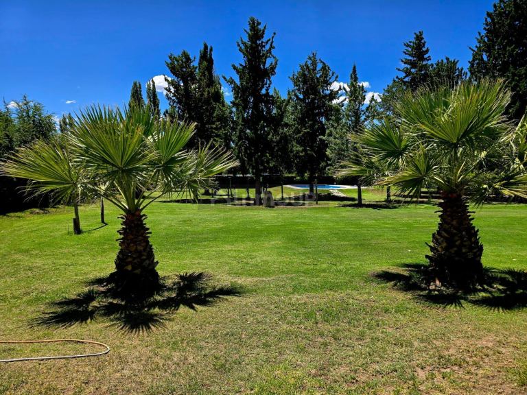 Finca en Venta en San Rafael, Mendoza