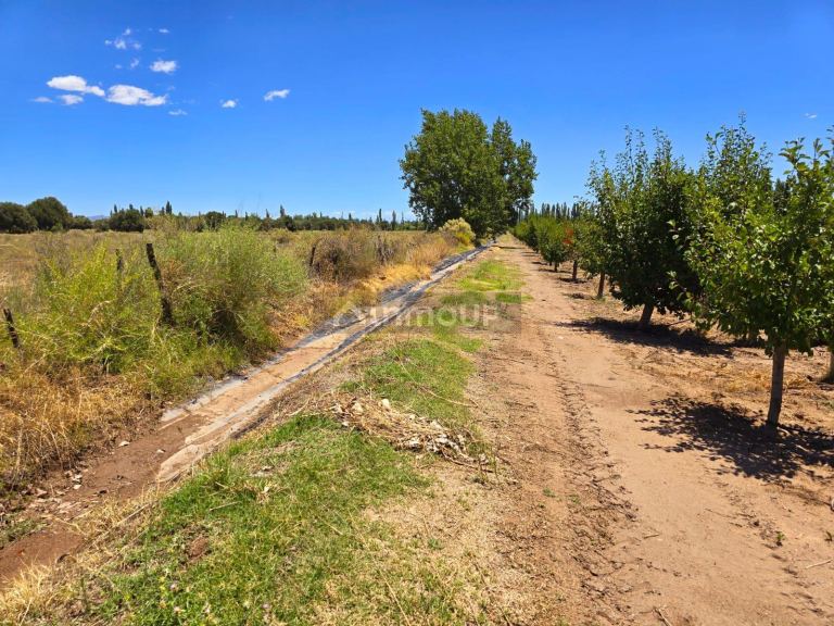 Finca en Venta en San Rafael, Mendoza
