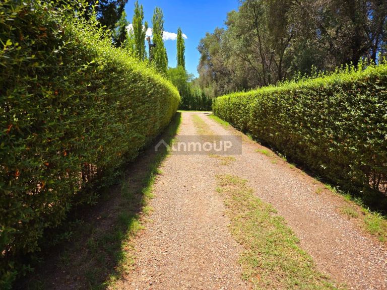 Finca en Venta en San Rafael, Mendoza