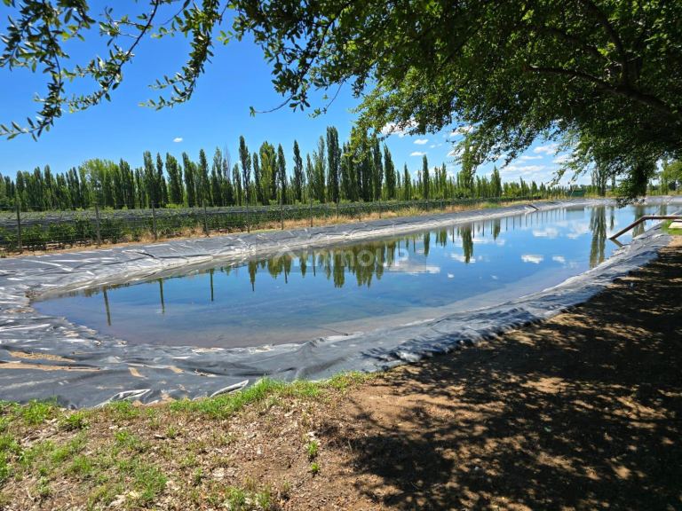 Finca en Venta en San Rafael, Mendoza