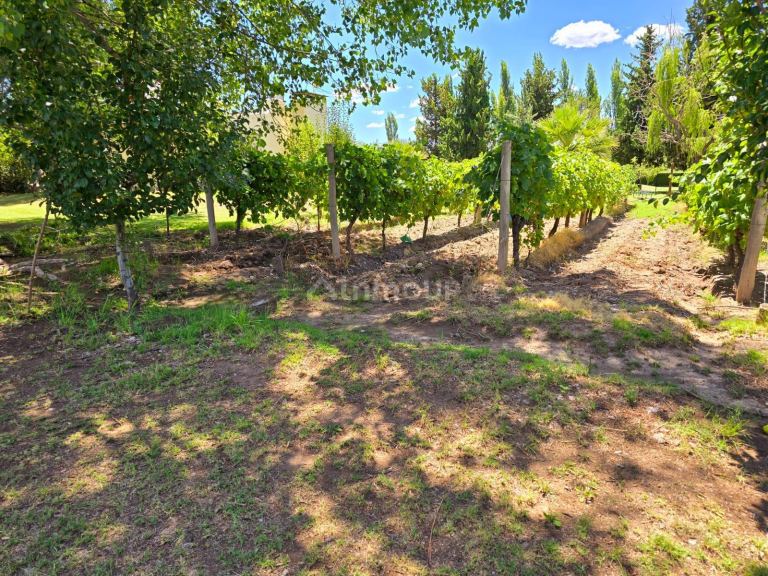 Finca en Venta en San Rafael, Mendoza