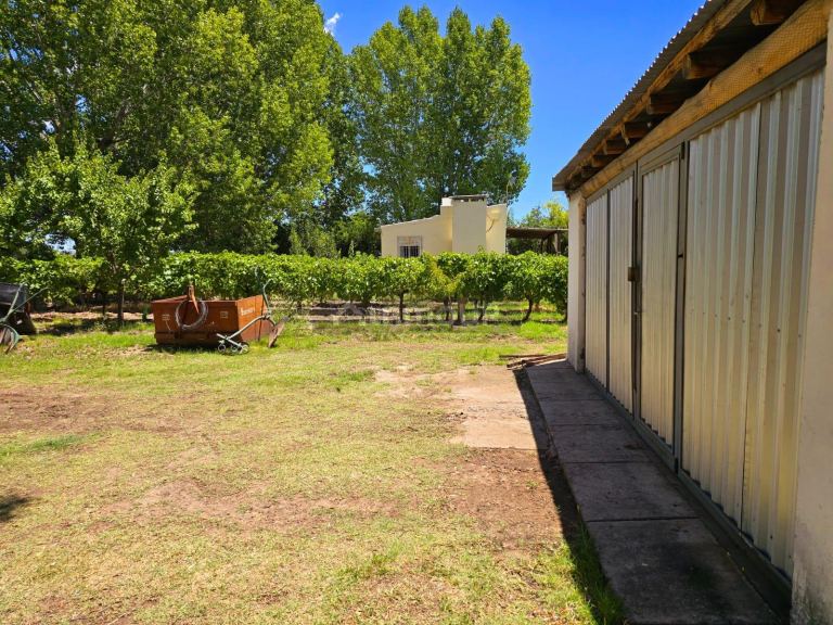 Finca en Venta en San Rafael, Mendoza