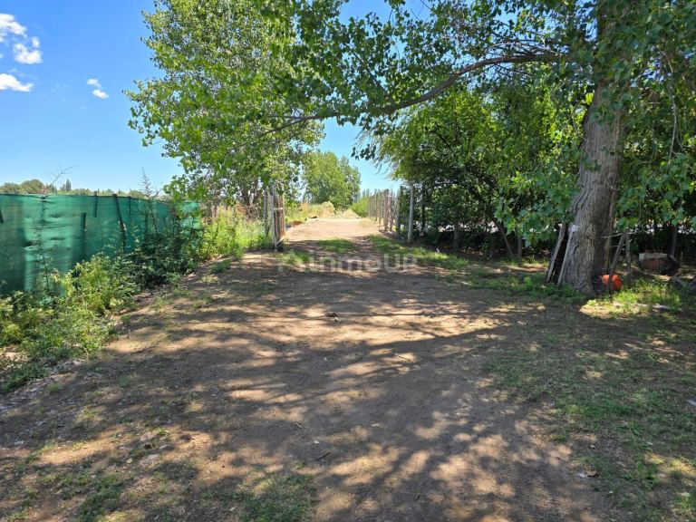 Finca en Venta en San Rafael, Mendoza