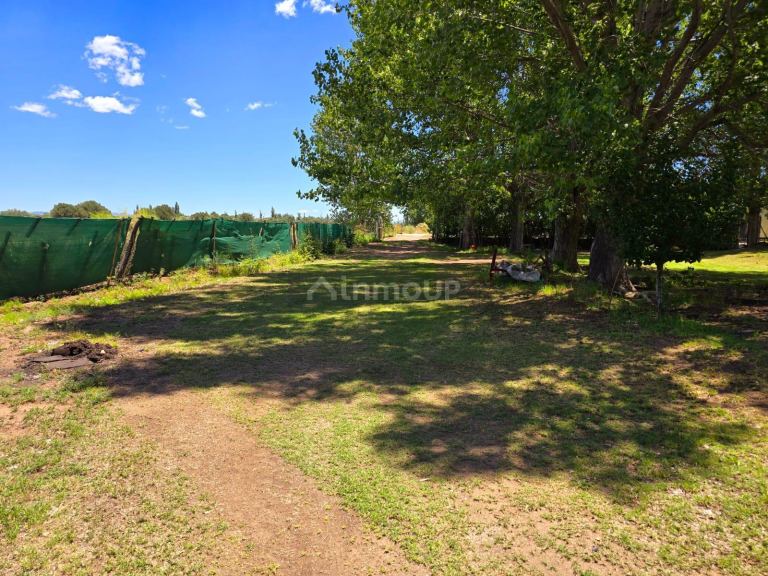 Finca en Venta en San Rafael, Mendoza