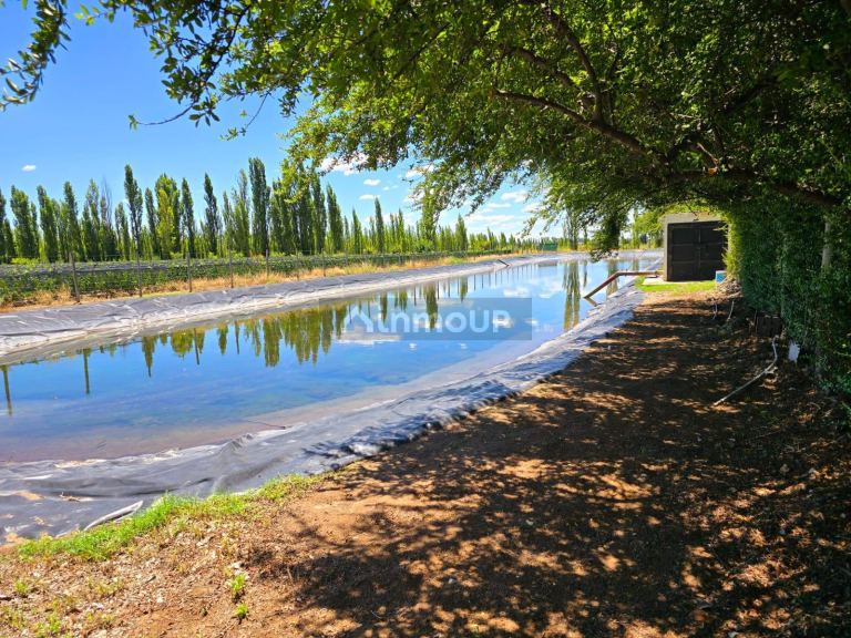 Finca en Venta en San Rafael, Mendoza