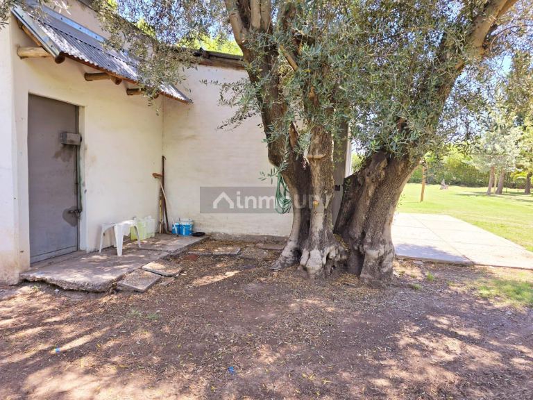 Finca en Venta en San Rafael, Mendoza