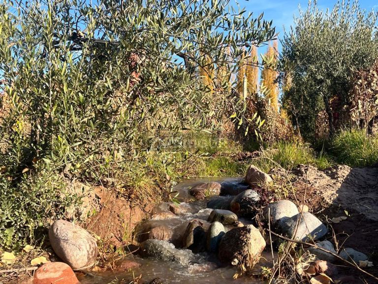 Finca en Venta en Maipu, Mendoza