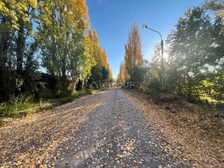 Finca en Venta en Maipu, Mendoza