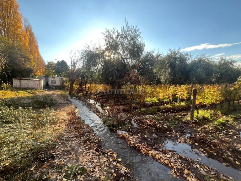 Finca en Venta en Maipu, Mendoza