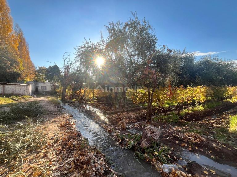 Finca en Venta en Maipu, Mendoza