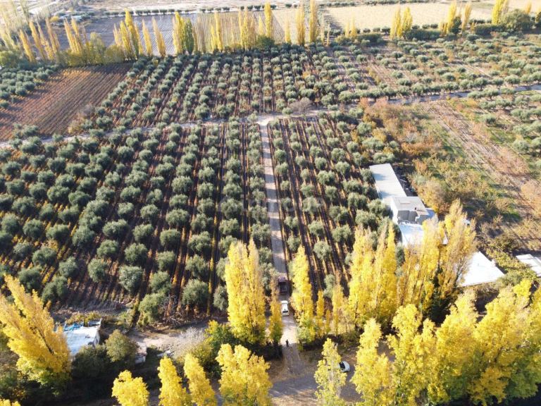 Finca en Venta en Maipu, Mendoza