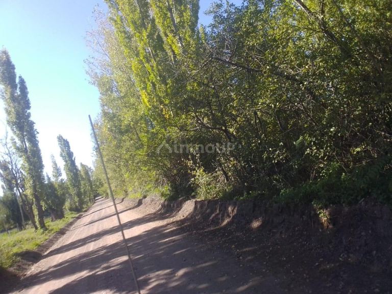 Terreno en Venta en Tunuyan, Mendoza