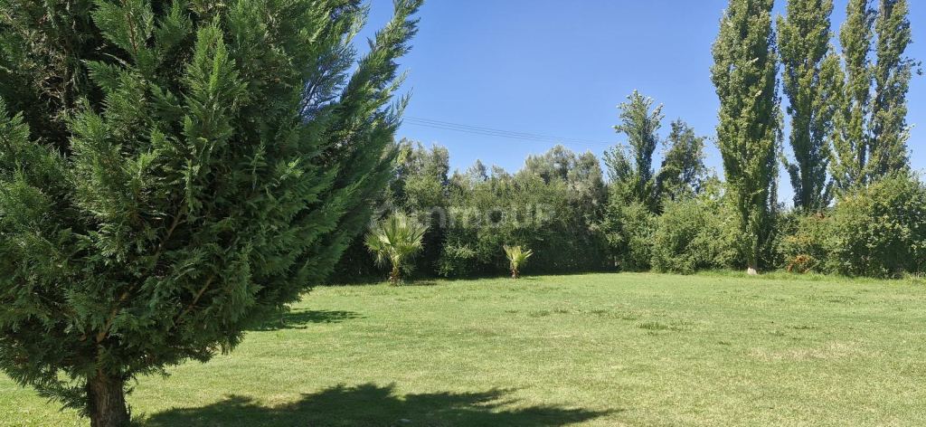 Casa en Venta en San Rafael, Mendoza