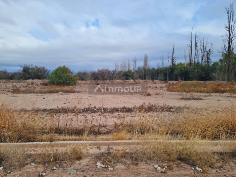 Terreno en Venta en Maipu, Mendoza