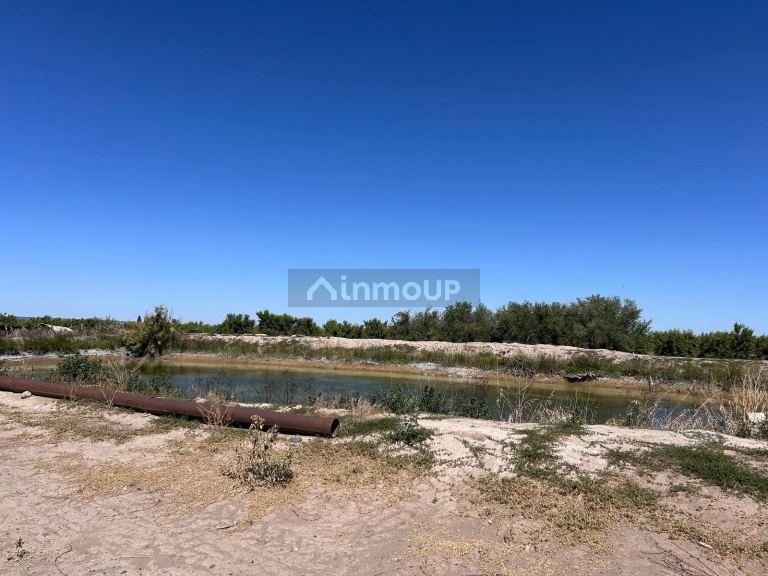 Finca en Venta en Tupungato, Mendoza