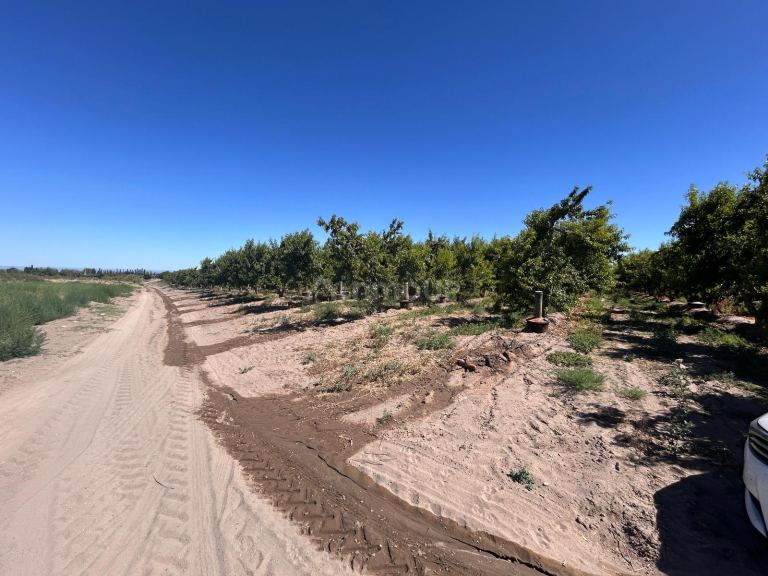 Finca en Venta en Tupungato, Mendoza