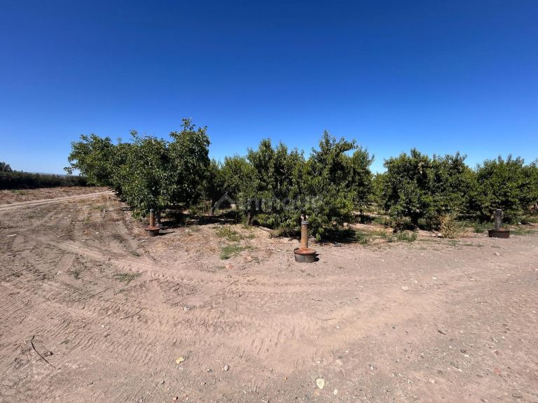 Finca en Venta en Tupungato, Mendoza