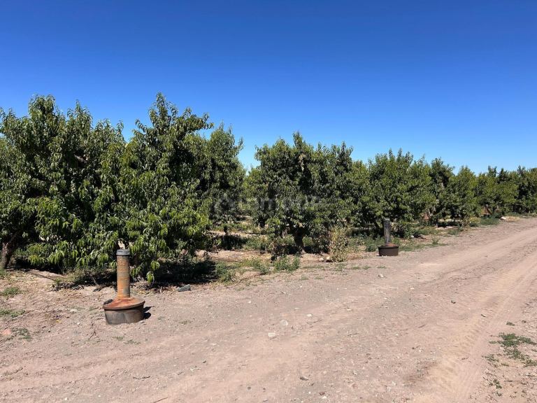 Finca en Venta en Tupungato, Mendoza