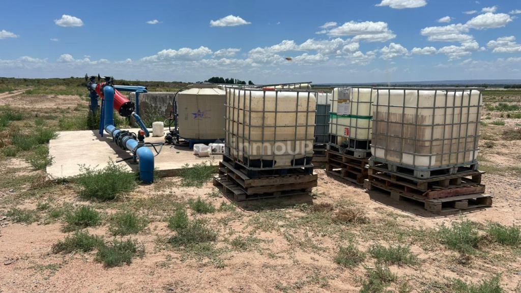 Finca en Venta en San Carlos, Mendoza